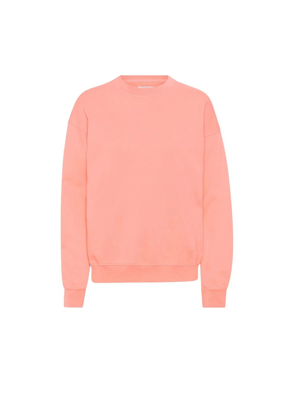 OVERSIZED CREW BRIGHT CORAL - Moeon